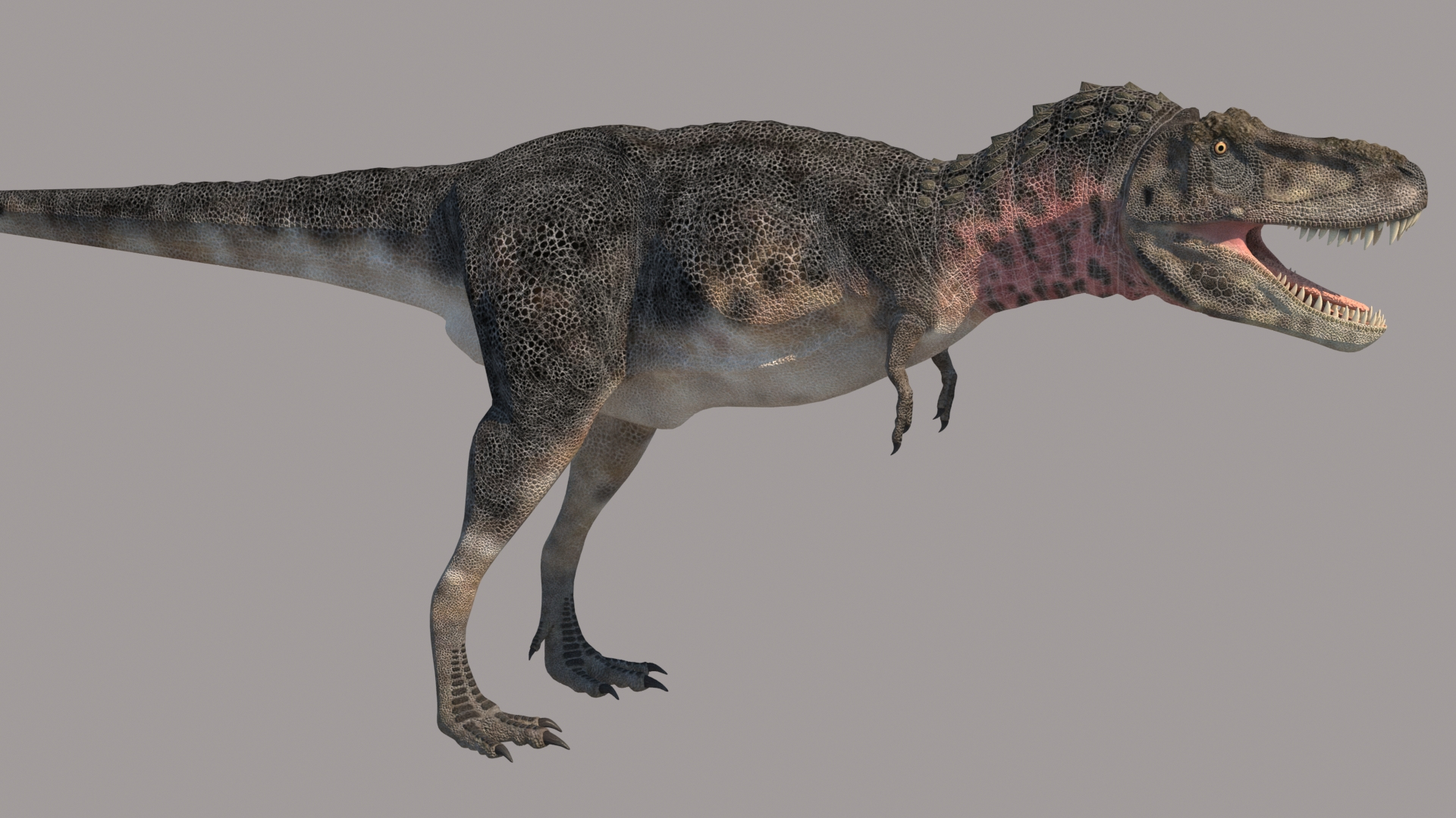 tarbosaurus 3d