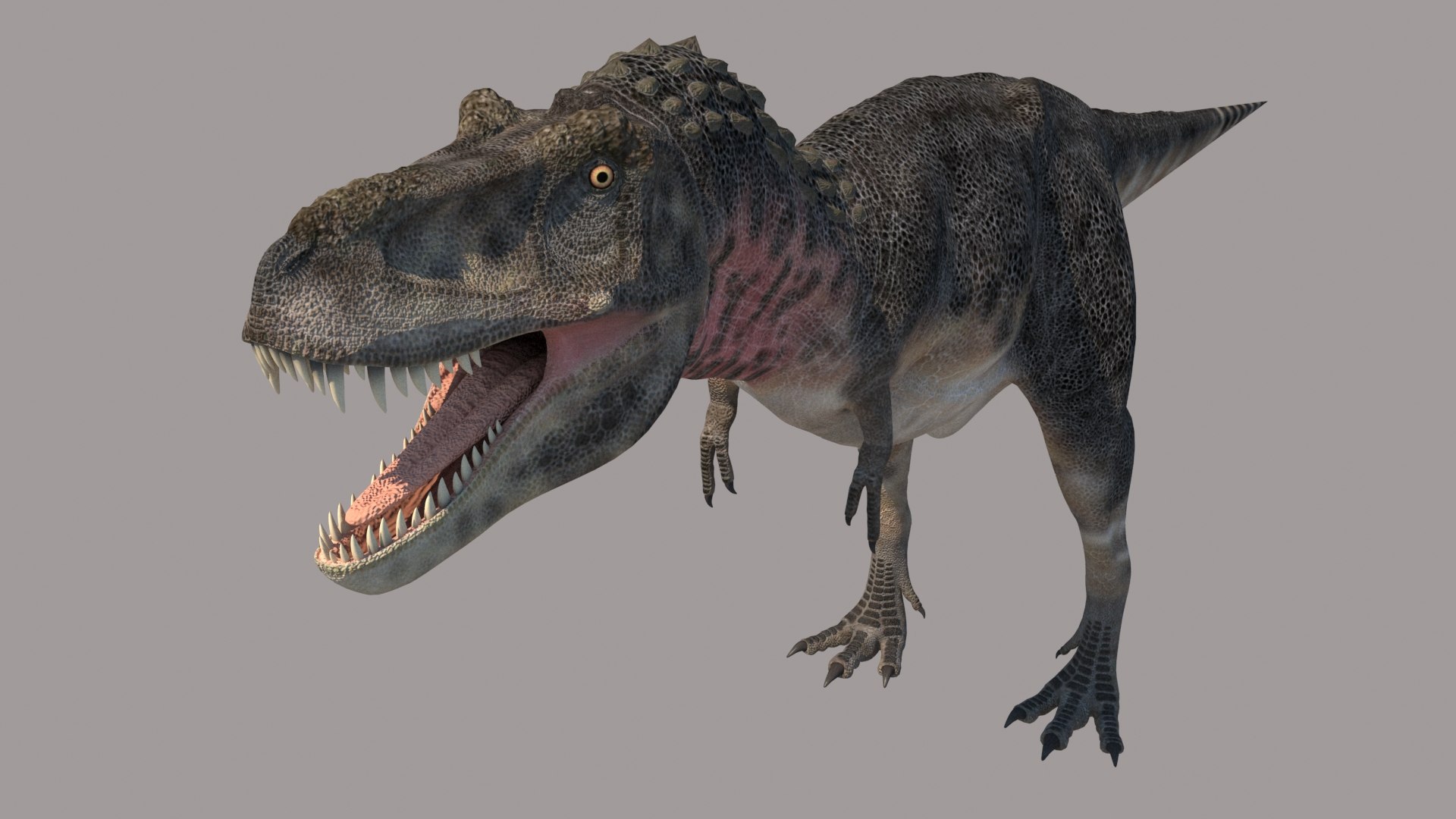 tarbosaurus 3d