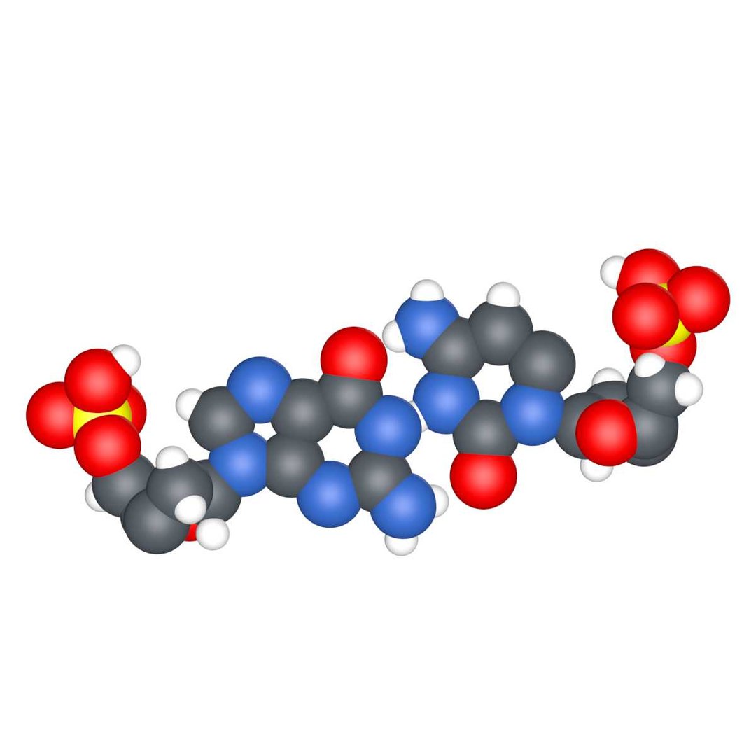 dna adenine c4d https://p.turbosquid.com/ts-thumb/mc/V7FEGI/Tb6yTuFc/dnapreviews0020/jpg/1320275962/1920x1080/fit_q87/35e93912cef0756cd01949c43c2cf8ada85b084c/dnapreviews0020.jpg