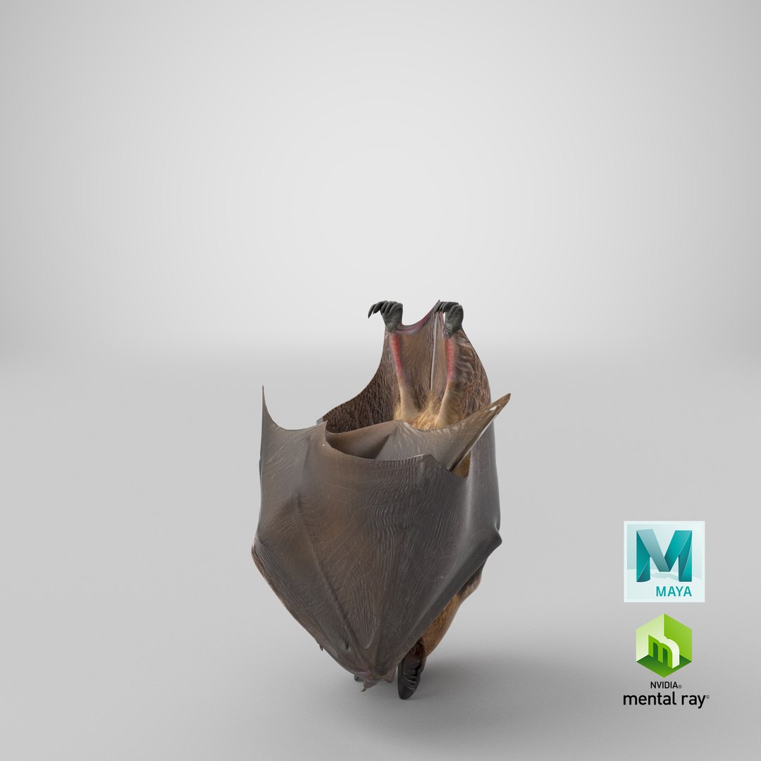 hanging bat 3ds https://p.turbosquid.com/ts-thumb/mc/Z0hx48/Ty/stemcell_maya_mental_ray_render/png/1654244119/1920x1080/fit_q87/e0f8f215ea320de1131bfacc4163e624f4b24e36/stemcell_maya_mental_ray_render.jpg