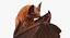 Hanging Bat 3D Model