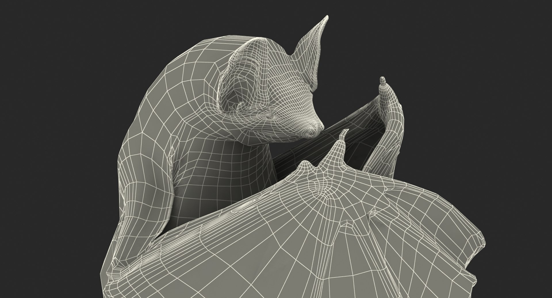 hanging bat 3ds https://p.turbosquid.com/ts-thumb/mc/Z0hx48/XzLNy6ZS/hangingbatvray3dmodel018/jpg/1477311972/1920x1080/fit_q87/d7614ead93b1290a8b6a5c17c5dc4873cd4356e0/hangingbatvray3dmodel018.jpg