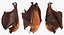 Hanging Bat 3D Model