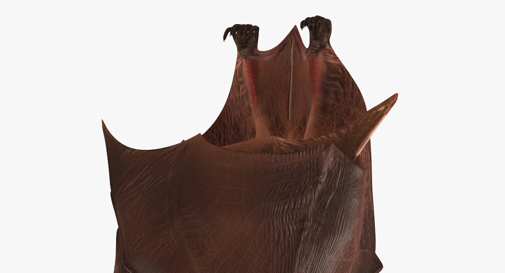 hanging bat 3ds https://p.turbosquid.com/ts-thumb/mc/Z0hx48/a07qKEA3/hangingbatvray3dmodel007/jpg/1477311972/1920x1080/fit_q87/272a343b1eeeec97a3e632594460eaf3f8583a3b/hangingbatvray3dmodel007.jpg