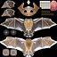 Hanging Bat 3D Model