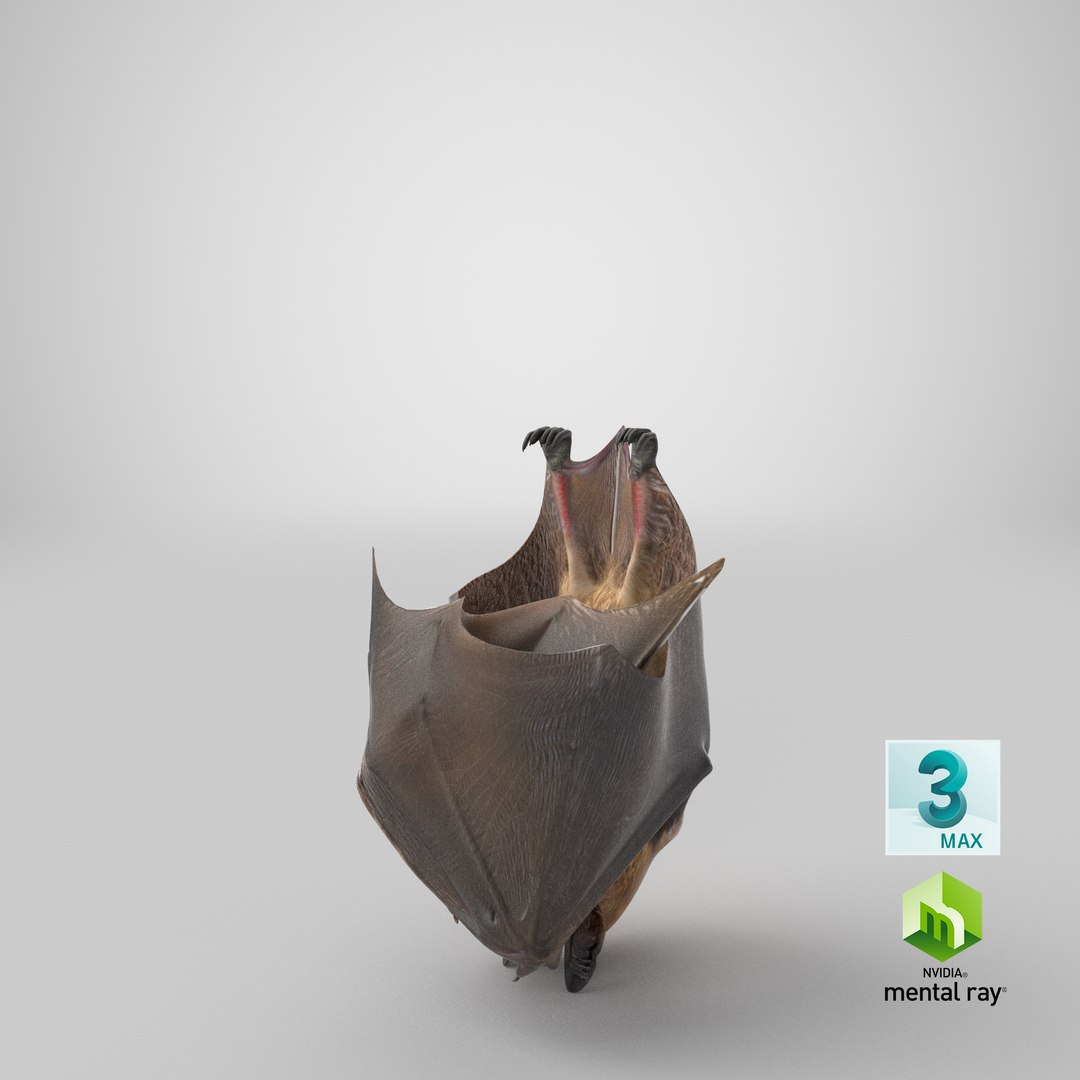 hanging bat 3ds https://p.turbosquid.com/ts-thumb/mc/Z0hx48/wo/stemcell_max_mental_ray_render/png/1654244111/1920x1080/fit_q87/d7a363433739564cd35e67fa8fe68f5a9ec06605/stemcell_max_mental_ray_render.jpg