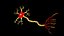 Neuron 3D