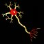 Neuron 3D