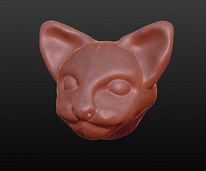 3D cat head model