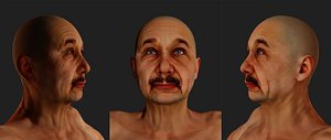 Not Albert Einstein Low-poly Game-ready 3D model 3D model
