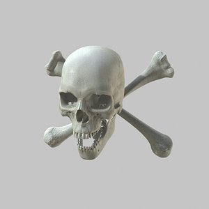 Skull Cross Bones model