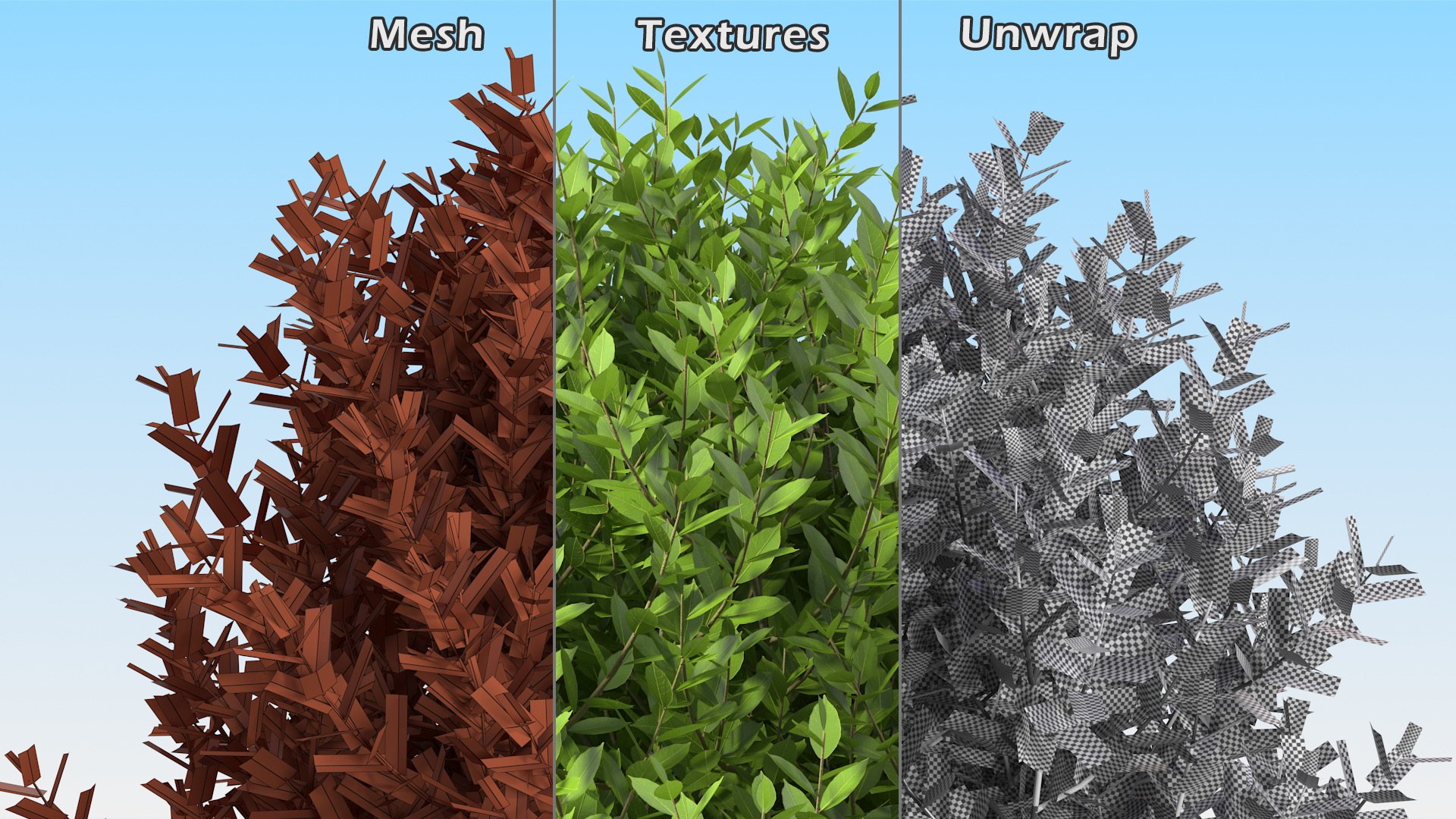 Sweet Bay Laurel Plant 3D model https://p.turbosquid.com/ts-thumb/md/MBbhts/PK/sweet_bay_laurel_tree_013/jpg/1776440490/1920x1080/fit_q87/a7f874c3013655dda5e55b98087e14155dba825a/sweet_bay_laurel_tree_013.jpg