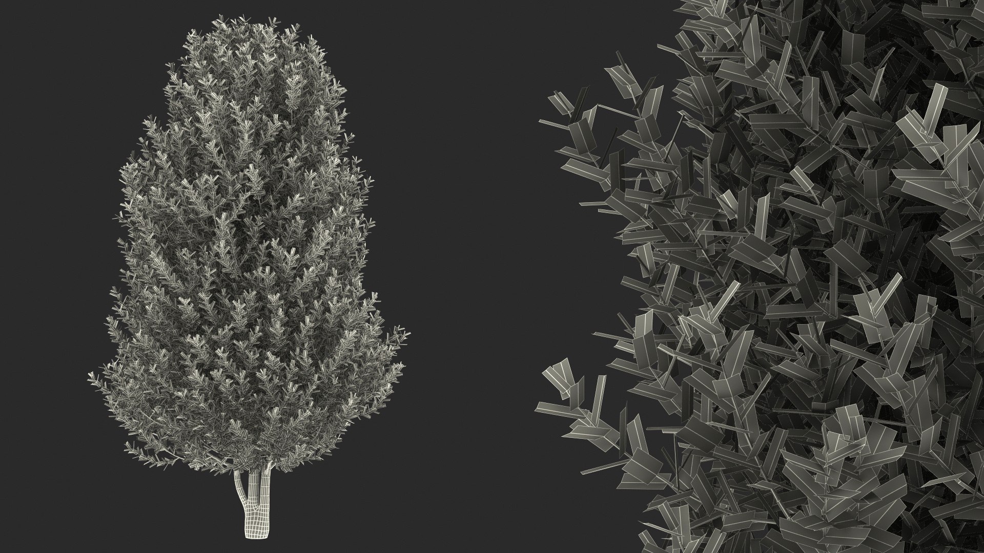 Sweet Bay Laurel Plant 3D model https://p.turbosquid.com/ts-thumb/md/MBbhts/mY/sweet_bay_laurel_tree_019/jpg/1776440520/1920x1080/fit_q87/466aaf0c70e5d0f2e87eb5adc43566ff5b3c679b/sweet_bay_laurel_tree_019.jpg