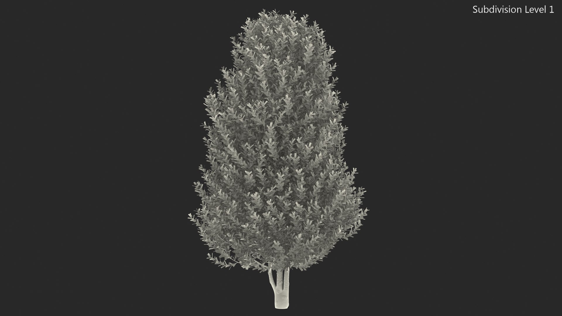Sweet Bay Laurel Plant 3D model https://p.turbosquid.com/ts-thumb/md/MBbhts/te/sweet_bay_laurel_tree_015/jpg/1776440500/1920x1080/fit_q87/2a367aae9b100d752f64bfd8bc4633d9778d0e4e/sweet_bay_laurel_tree_015.jpg
