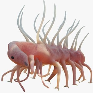 3D Hallucigenia