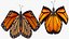 Borboleta Monarca Voadora Animada Montada para Cinema 4D