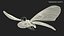 Borboleta Monarca Voadora Animada Montada para Cinema 4D