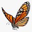 Borboleta Monarca Voadora Animada Montada para Cinema 4D