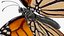 Borboleta Monarca Voadora Animada Montada para Cinema 4D