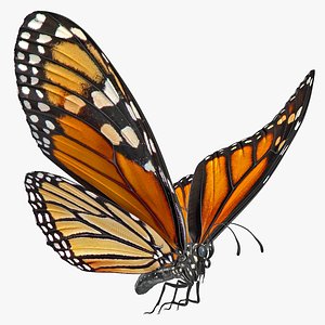 flying monarch butterfly rigged 3D model