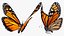 Borboleta Monarca Voadora Animada Montada para Cinema 4D