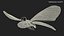 Borboleta Monarca Voadora Animada Montada para Cinema 4D