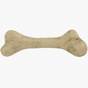 realistic dog bone 3D
