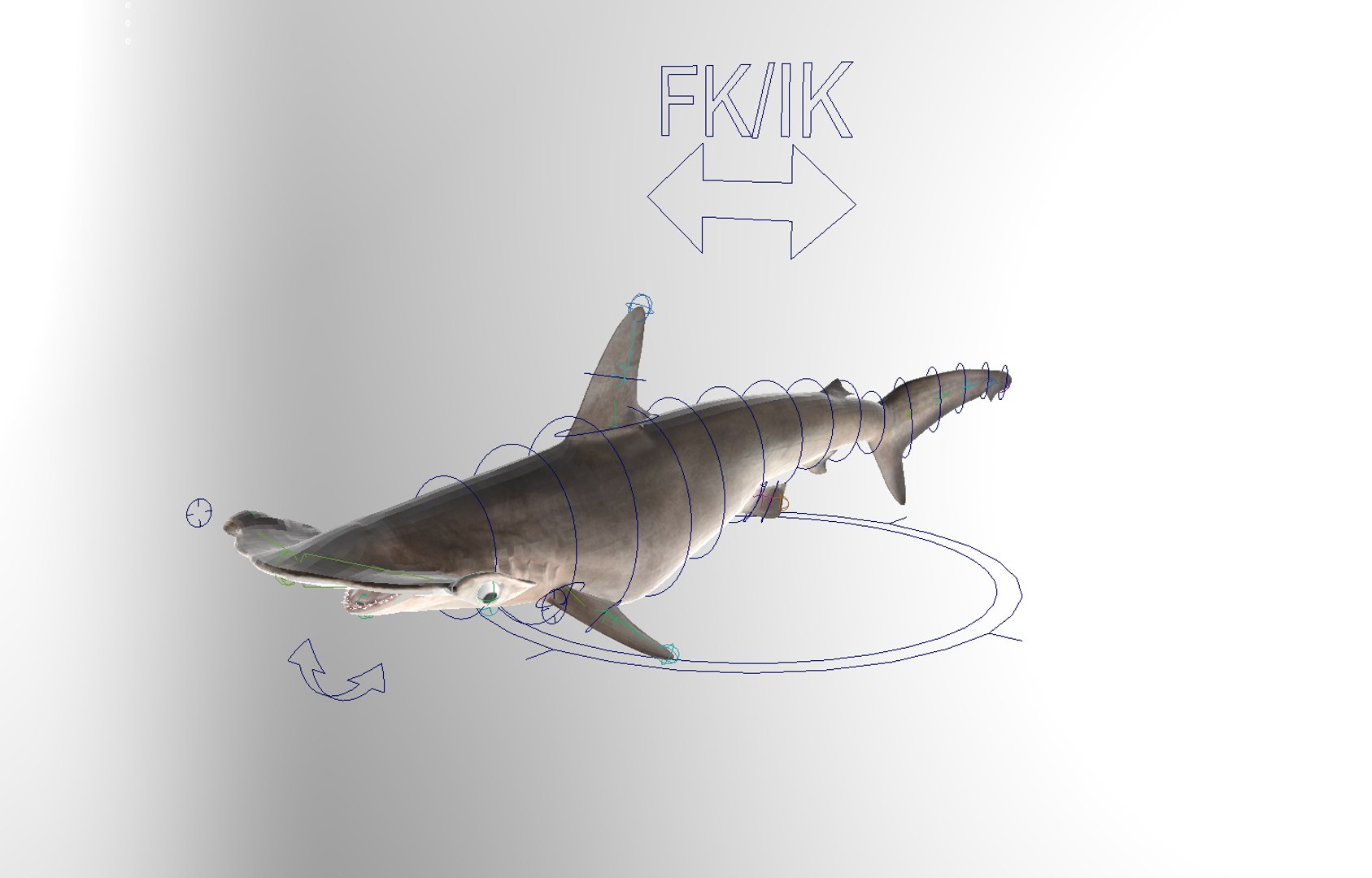 3D model Hammerhead Shark - TurboSquid 1986235