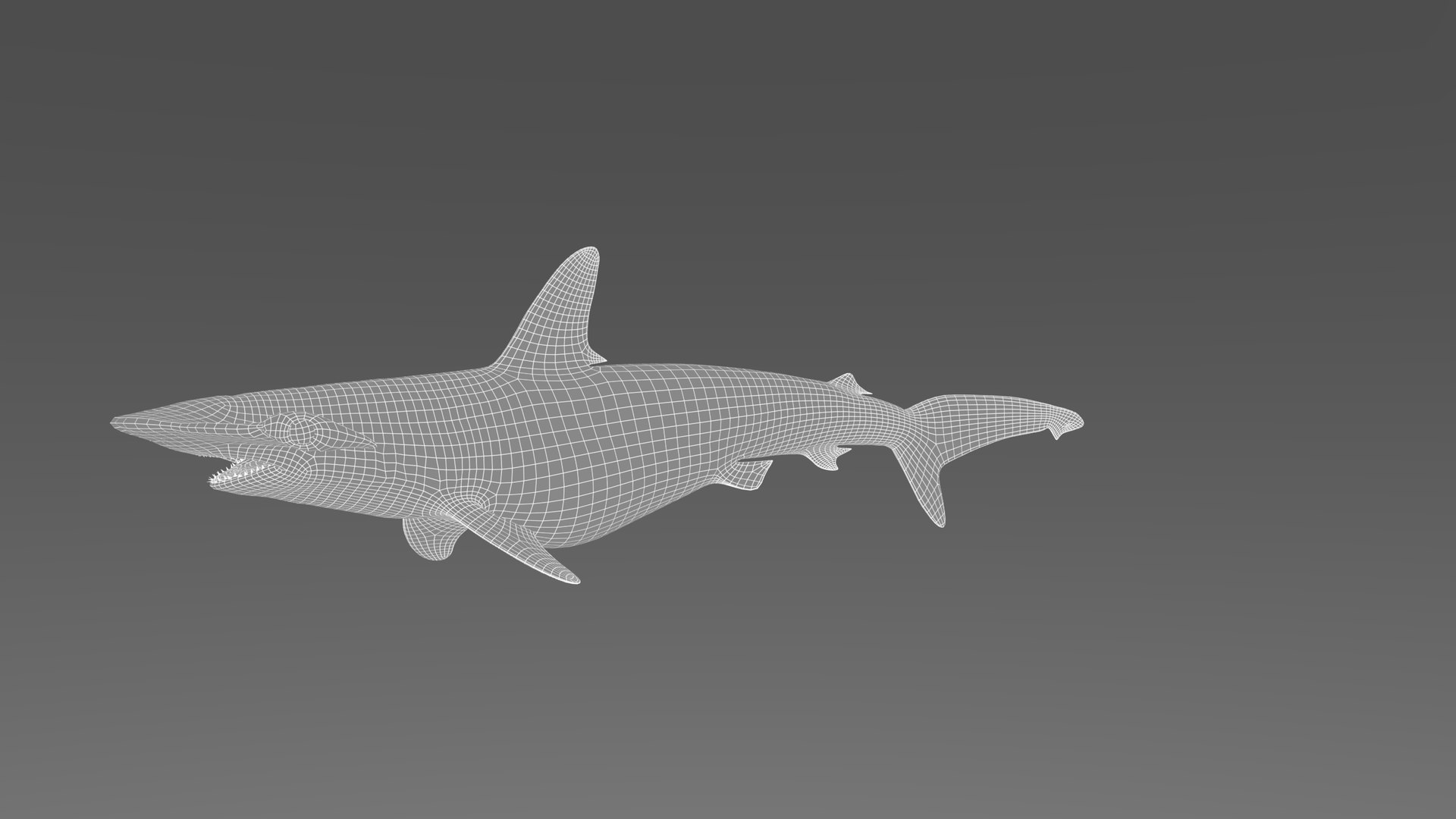 3D model Hammerhead Shark - TurboSquid 1986235