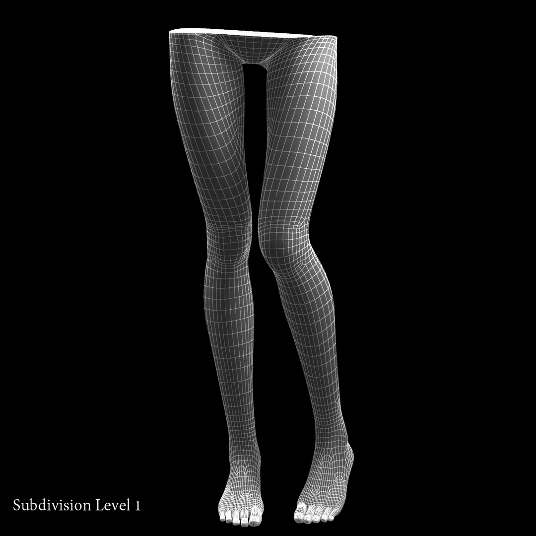 3d female legs