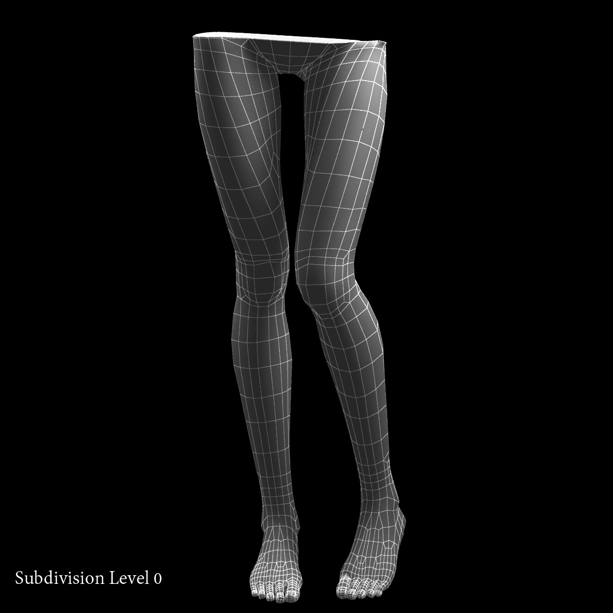3d female legs
