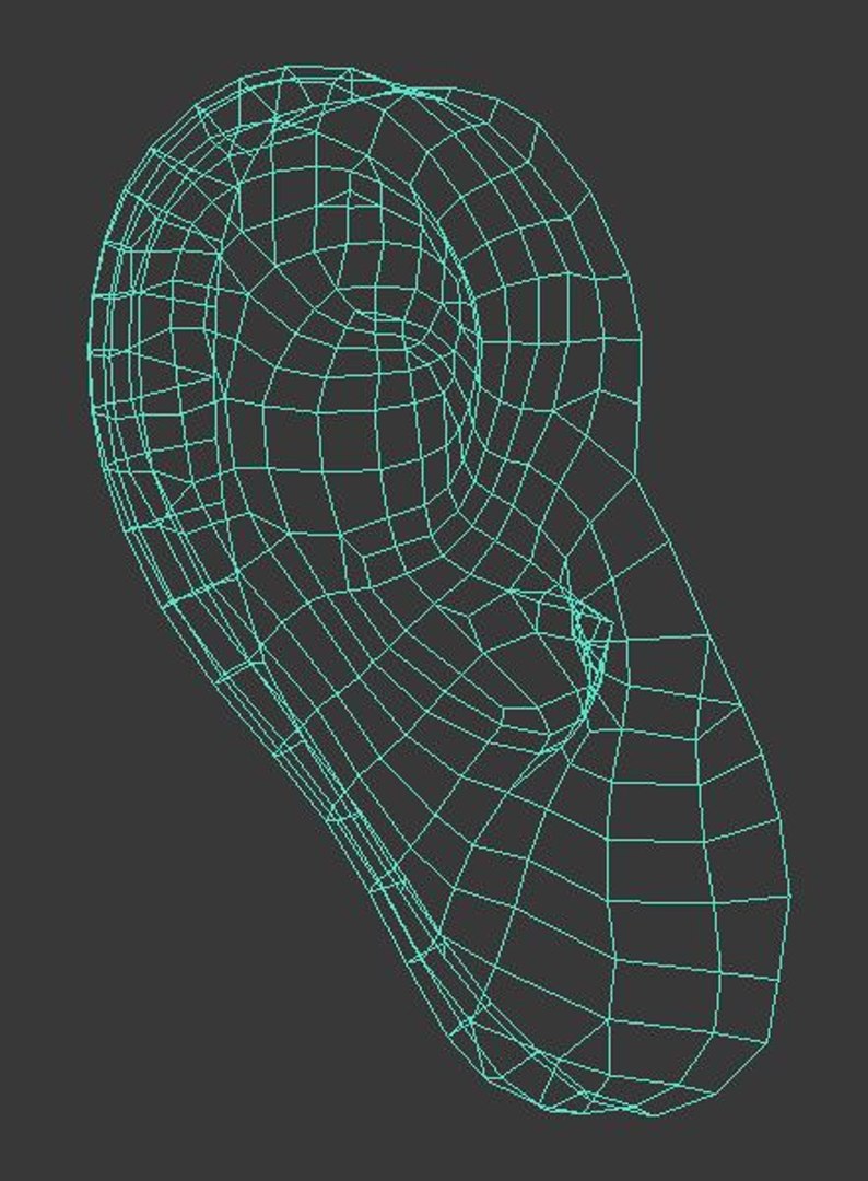 3d model human ear head https://p.turbosquid.com/ts-thumb/me/DStiAO/jwdOglu4/27/jpg/1365366098/1920x1080/fit_q87/ce561972c053f98633a44212a2df37a87ae55032/27.jpg
