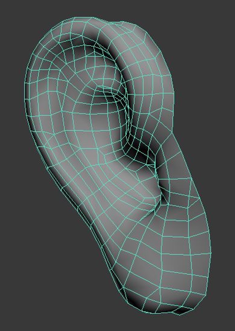 3d model human ear head https://p.turbosquid.com/ts-thumb/me/DStiAO/yZHzGjwR/22/jpg/1365366098/1920x1080/fit_q87/5459549638a62e68f97bfb7fd80bce956b7863a7/22.jpg