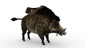 3D Wild boar