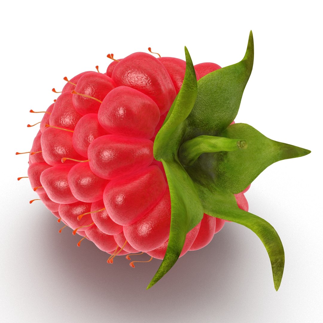 max raspberry 3 https://p.turbosquid.com/ts-thumb/me/IPXosq/4K52qm9I/raspberry3dmodel310/jpg/1426696117/1920x1080/fit_q87/53446c46619863aada4d3ead9139e532a456d7eb/raspberry3dmodel310.jpg