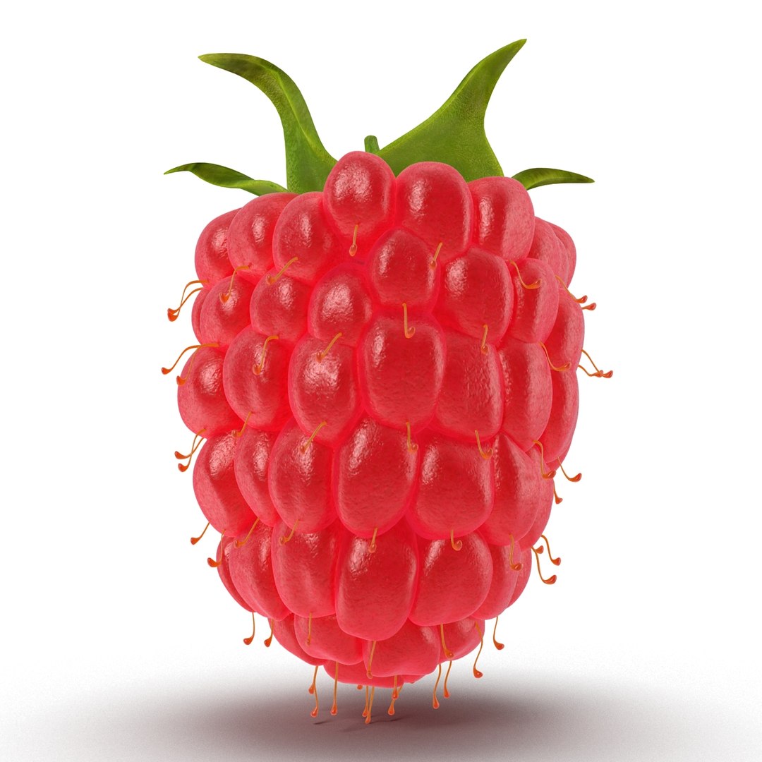 max raspberry 3 https://p.turbosquid.com/ts-thumb/me/IPXosq/4twmsPFy/raspberry3dmodel304/jpg/1426696117/1920x1080/fit_q87/08e14a4575cb00053fa52e6dd24667e9447caf54/raspberry3dmodel304.jpg