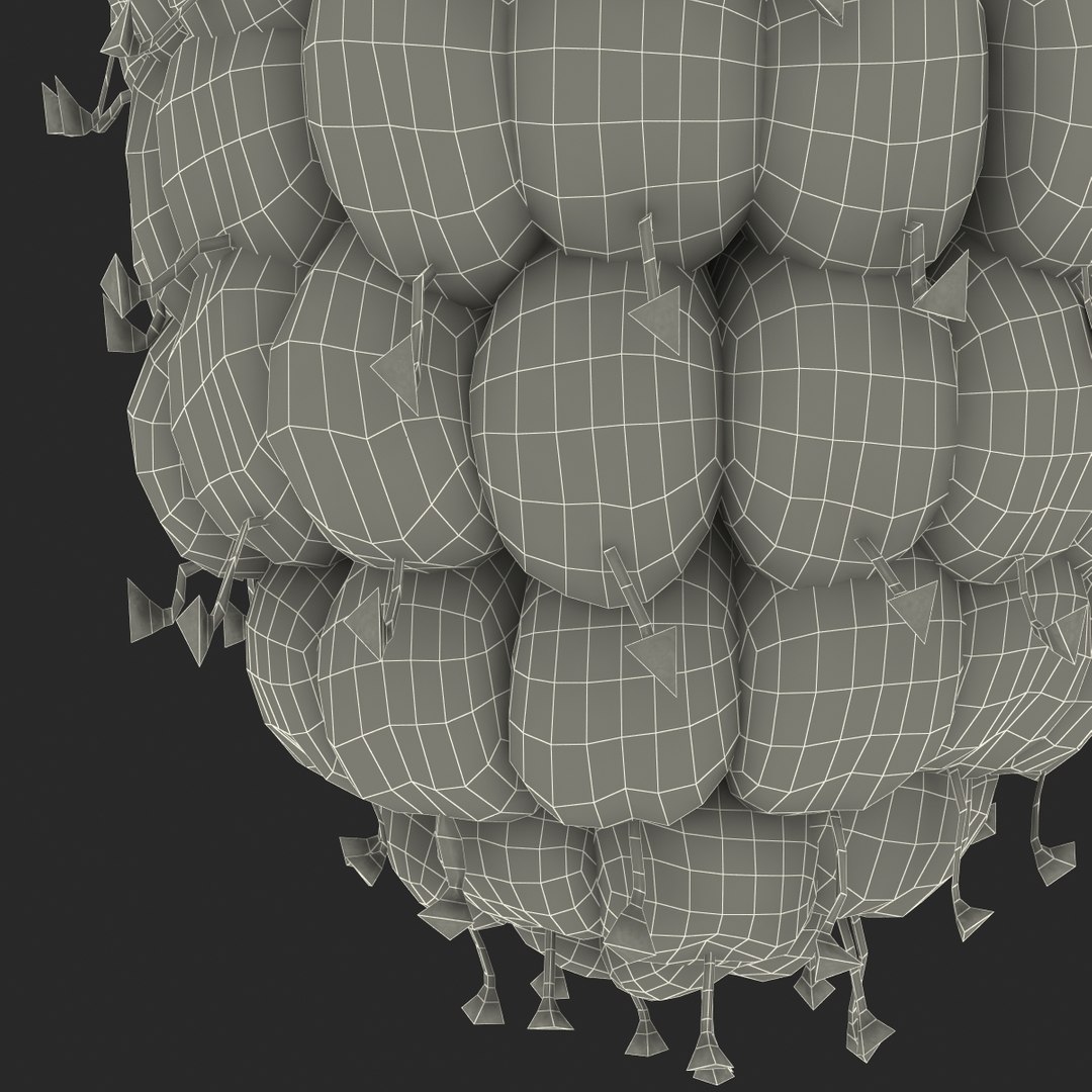 max raspberry 3 https://p.turbosquid.com/ts-thumb/me/IPXosq/5qyrMnsD/raspberry3dmodel334/jpg/1426696119/1920x1080/fit_q87/e75a2197e10aca324163b04e23739846f2a601bf/raspberry3dmodel334.jpg