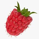Fresh Ripe Raspberry