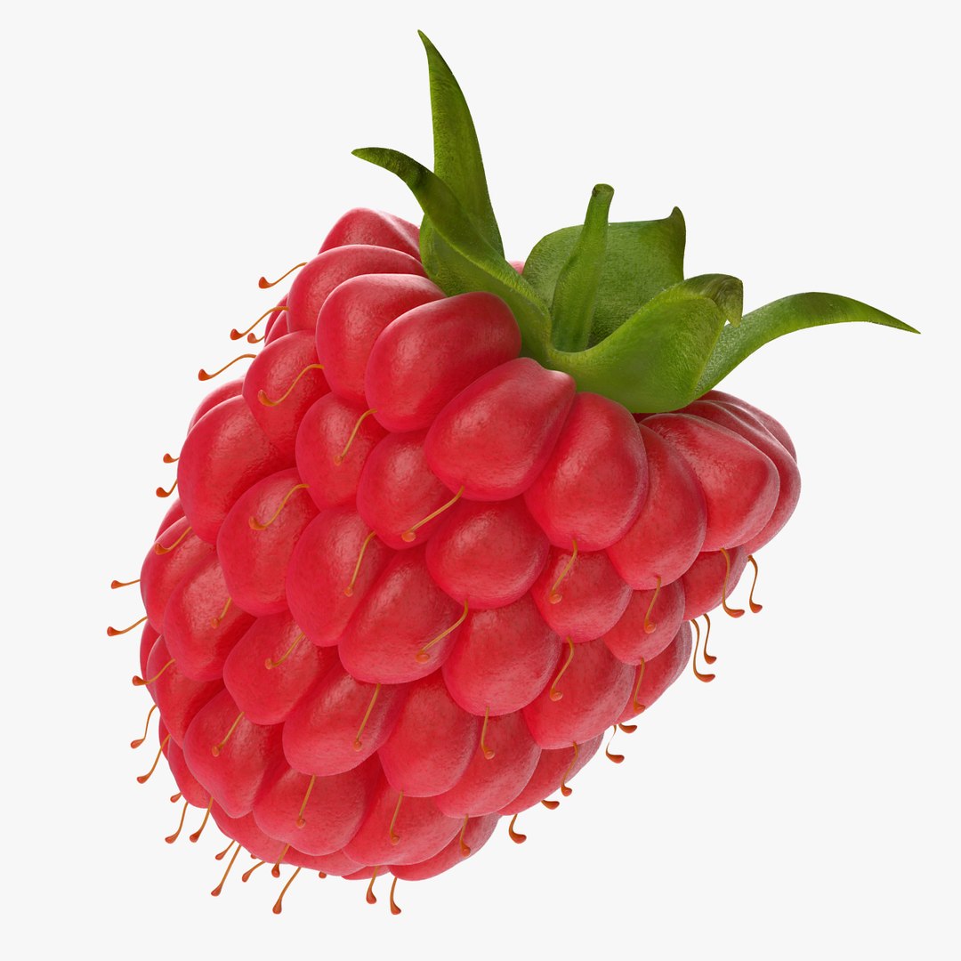 3D model Fruits Collection 15 https://p.turbosquid.com/ts-thumb/me/IPXosq/7C3iEiYb/raspberry2/jpg/1648900880/1920x1080/fit_q87/1b953a3e2424355f6831ba5a91eaa936606e44d6/raspberry2.jpg