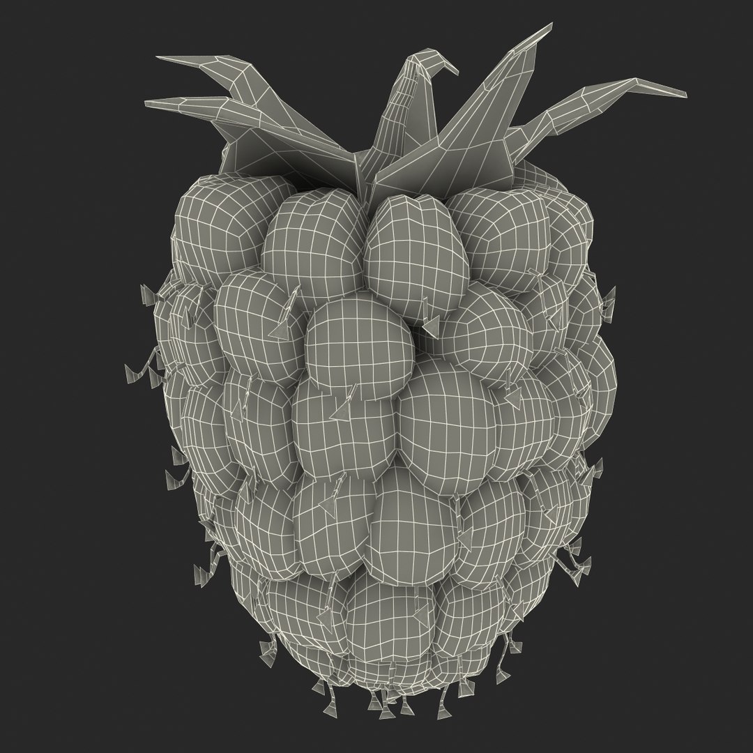max raspberry 3 https://p.turbosquid.com/ts-thumb/me/IPXosq/9tjW8cLe/raspberry3dmodel327/jpg/1426696119/1920x1080/fit_q87/23215ebfe40bd99b355ad3cca9c3ebe2c8a8c28c/raspberry3dmodel327.jpg