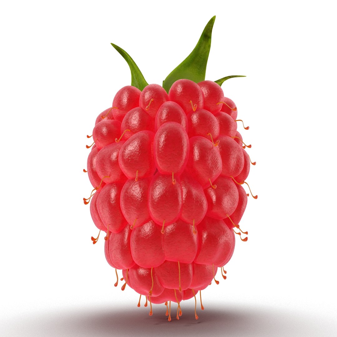 max raspberry 3 https://p.turbosquid.com/ts-thumb/me/IPXosq/A7ETNsSE/raspberry3dmodel306/jpg/1426696117/1920x1080/fit_q87/2e5351676be7504cebeb16dd96c6be5666c9b95d/raspberry3dmodel306.jpg