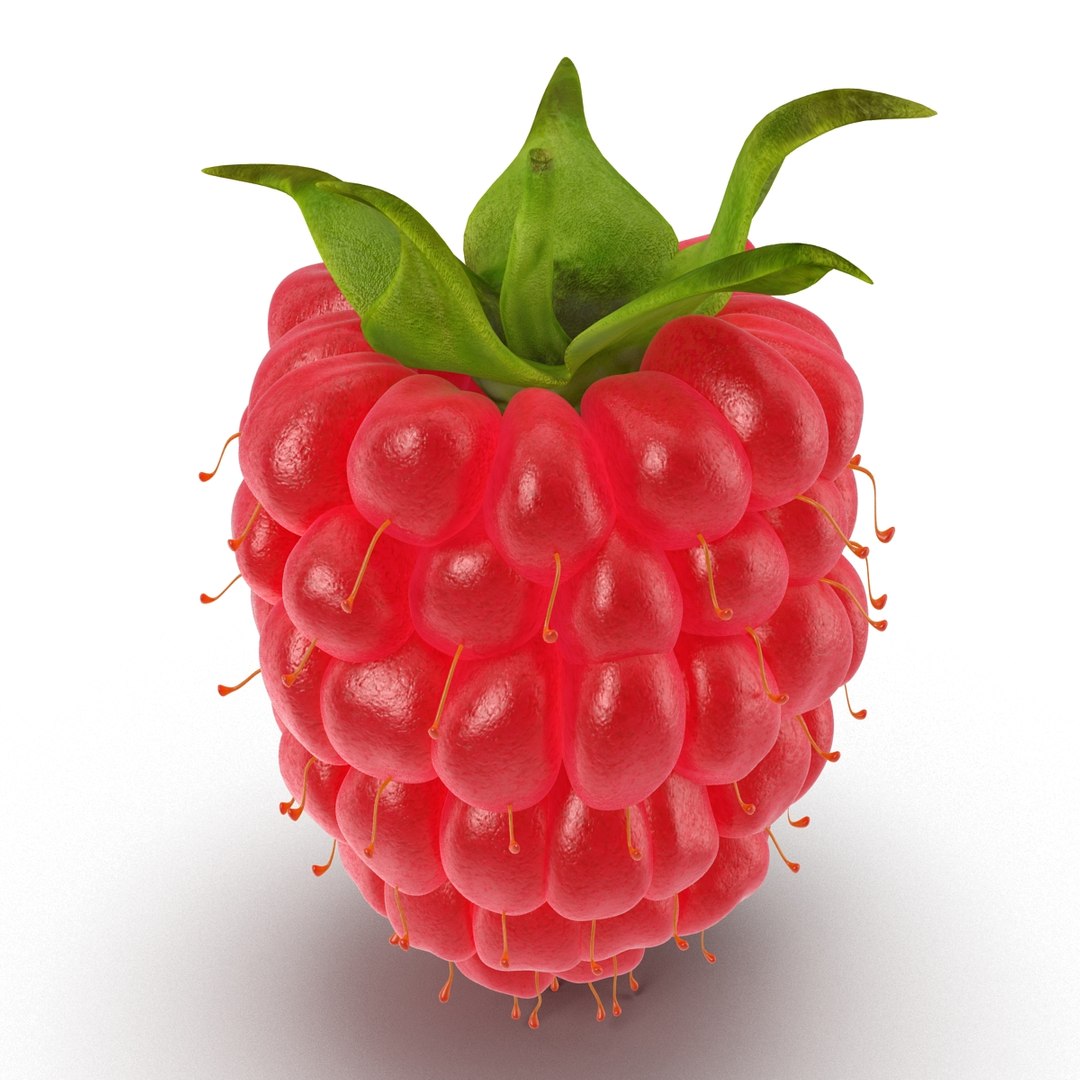 max raspberry 3 https://p.turbosquid.com/ts-thumb/me/IPXosq/AVuCHRXr/raspberry3dmodel303/jpg/1426696116/1920x1080/fit_q87/4061ca585d9b42128b1bcfe2b345baab52a1b12f/raspberry3dmodel303.jpg