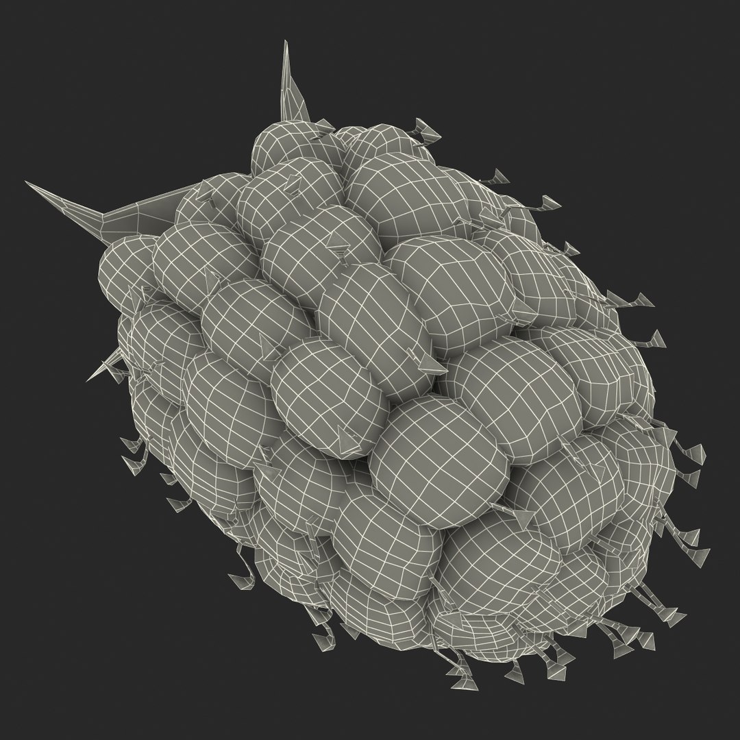 max raspberry 3 https://p.turbosquid.com/ts-thumb/me/IPXosq/BnigU8Hw/raspberry3dmodel329/jpg/1426696119/1920x1080/fit_q87/e7bdb0e456a95f3abd644887d12c4a4834deeb7e/raspberry3dmodel329.jpg