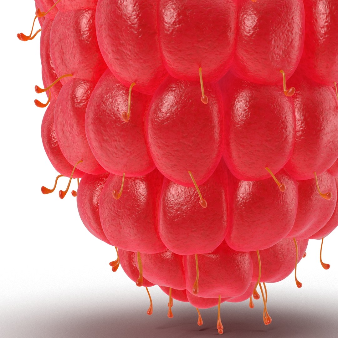 max raspberry 3 https://p.turbosquid.com/ts-thumb/me/IPXosq/BuECv4zC/raspberry3dmodel319/jpg/1426696118/1920x1080/fit_q87/0a4c1c8e60ed53cca8d96f4eca7bf230df464269/raspberry3dmodel319.jpg