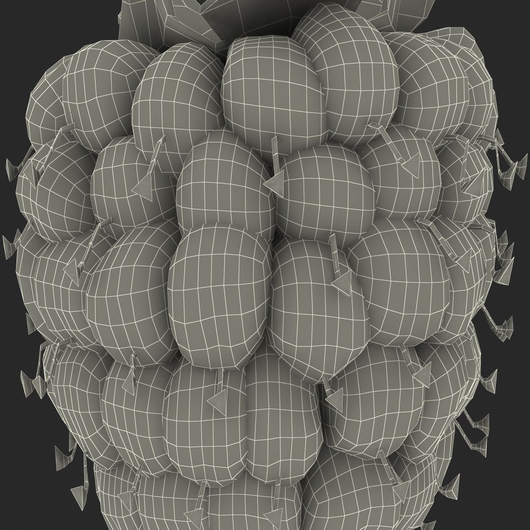 max raspberry 3 https://p.turbosquid.com/ts-thumb/me/IPXosq/D8ZyVzm6/raspberry3dmodel333/jpg/1426696119/1920x1080/fit_q87/296d64771d9ce9f237d586ed5311be7a5bc621c6/raspberry3dmodel333.jpg