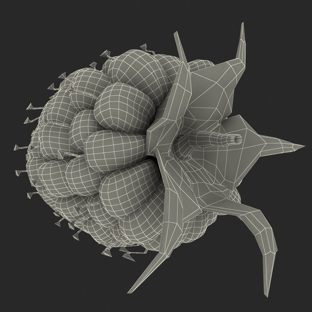 max raspberry 3 https://p.turbosquid.com/ts-thumb/me/IPXosq/K3T2x6b2/raspberry3dmodel330/jpg/1426696119/1920x1080/fit_q87/e66a7aeb485b67ef899886cb082edba285ecfe9b/raspberry3dmodel330.jpg