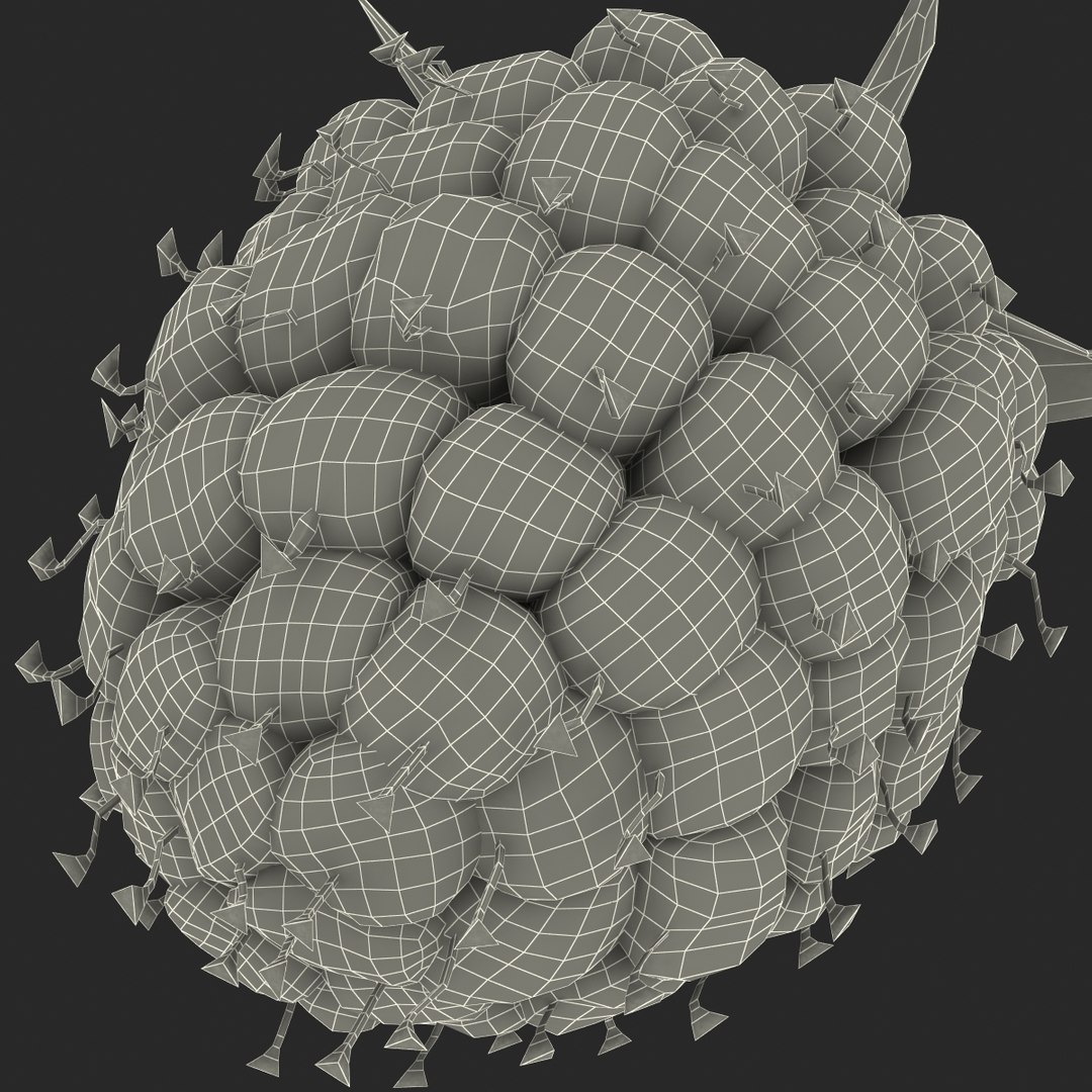 max raspberry 3 https://p.turbosquid.com/ts-thumb/me/IPXosq/LxUYJs1E/raspberry3dmodel332/jpg/1426696119/1920x1080/fit_q87/cc257a608452b4e0aafde12ee15ea754fa8170c3/raspberry3dmodel332.jpg