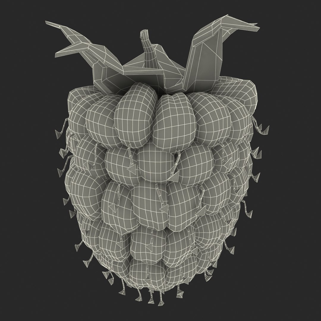 max raspberry 3 https://p.turbosquid.com/ts-thumb/me/IPXosq/SwWhq6kw/raspberry3dmodel328/jpg/1426696119/1920x1080/fit_q87/ba5cdcce1b9381d0d5452048c3913eafc8891862/raspberry3dmodel328.jpg