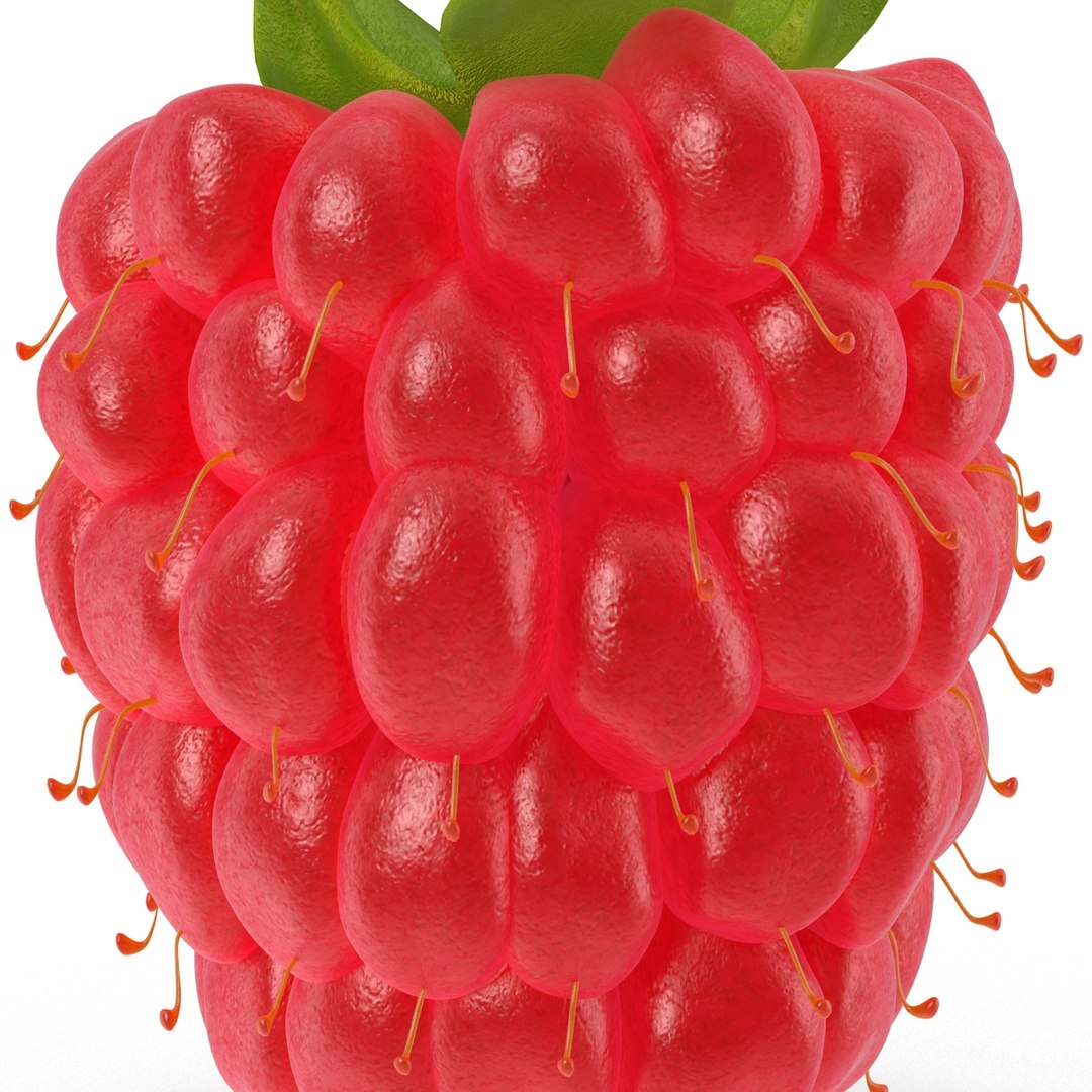 max raspberry 3 https://p.turbosquid.com/ts-thumb/me/IPXosq/cMso4t6m/raspberry3dmodel318/jpg/1426696118/1920x1080/fit_q87/aa19970ab7b3d9a8ed9a948b489042ec9f7d8454/raspberry3dmodel318.jpg
