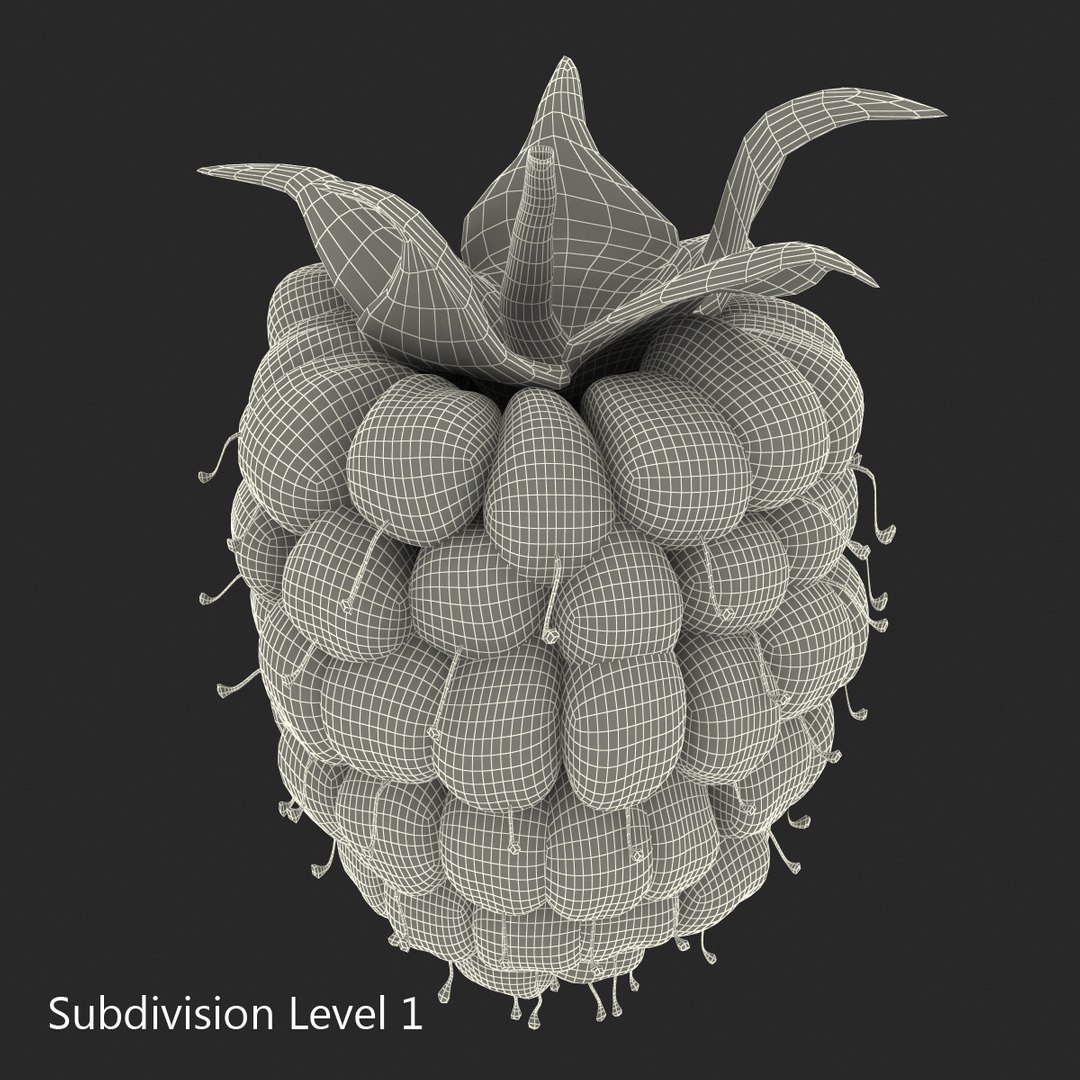 max raspberry 3 https://p.turbosquid.com/ts-thumb/me/IPXosq/cjKUQAel/raspberry3dmodel321/jpg/1426696118/1920x1080/fit_q87/db08f2a1f22098de04c1f24c6db1af149b1d82a0/raspberry3dmodel321.jpg